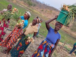 Creating Income and Improving Livelihoods Through Irrigation in Luangwa District